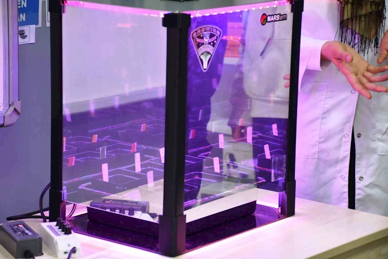 Öğrenciler uzayda gıda ürünleri yetiştirme deneylerini sürdürüyor
