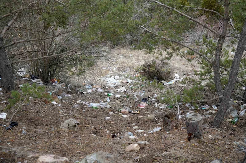 Gümüşhane’de ormanı çöplüğe döndürdüler
