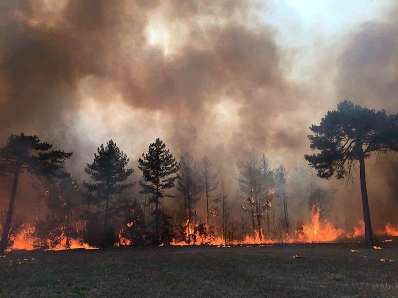 Bir sigara izmaritiyle küle dönmüştü, 7 yıl sonra görüntülendi
