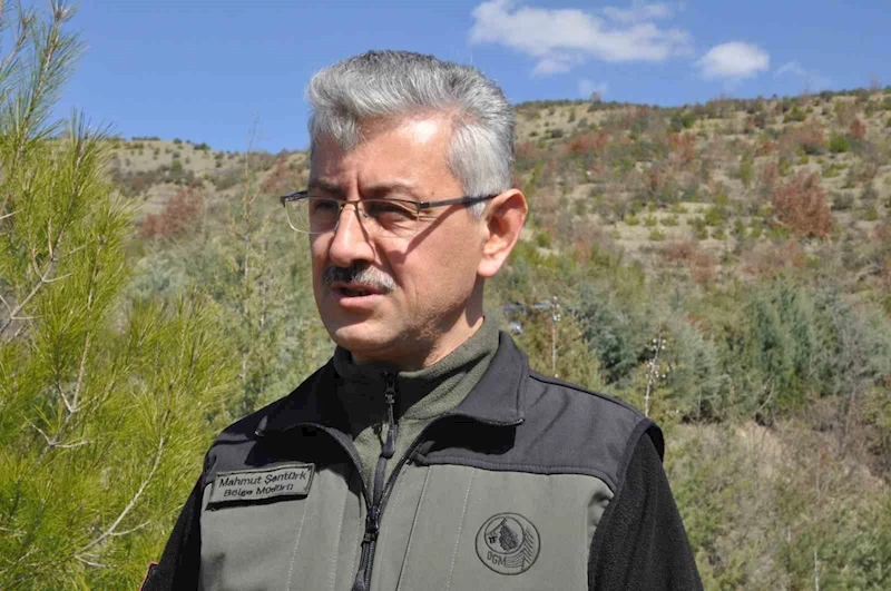 Bir sigara izmaritiyle küle dönmüştü, 7 yıl sonra görüntülendi
