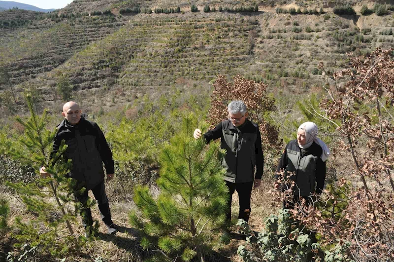 Bir sigara izmaritiyle küle dönmüştü, 7 yıl sonra görüntülendi
