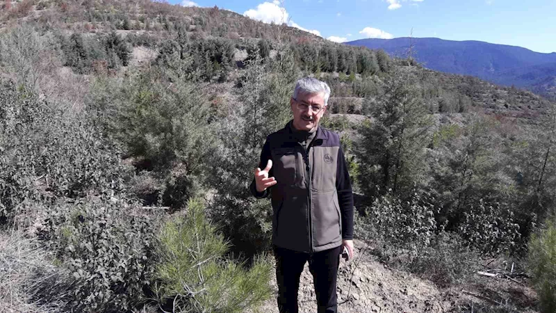 Bir sigara izmaritiyle küle dönmüştü, 7 yıl sonra görüntülendi
