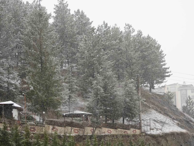 Kastamonu’da mart karı: Çocuklar doyasıya eğlendi
