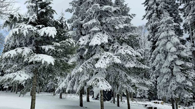 Düzce’nin yüksek tepeleri beyaza büründü
