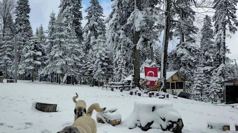 Düzce’nin yüksek tepeleri beyaza büründü
