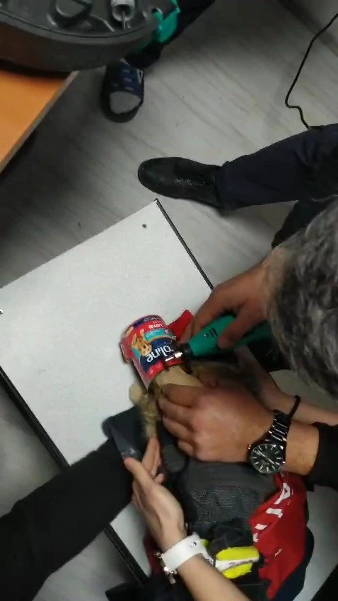 Kafasını mama kutusuna sıkıştıran kedinin yardımına itfaiye ekipleri yetişti
