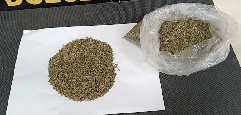 Uyuşturucu satıcısı tutuklandı
