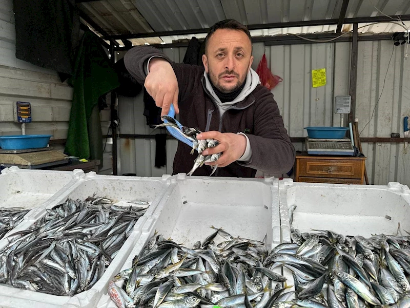Av yasağına sayılı günler kala balık tezgâhları şenlendi
