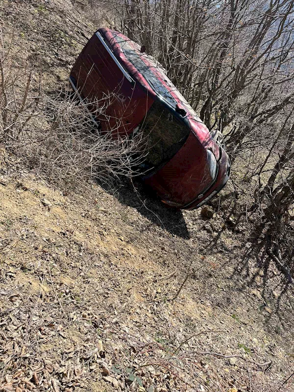 Hafif ticari araç şarampole yuvarlandı: 2 yaralı
