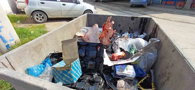 At kesen şahıs yakalandı
