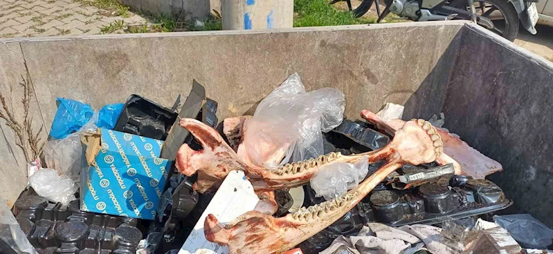 At kesen şahıs yakalandı
