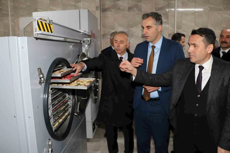 Coğrafi işaretli “çiçek bamyası” artık erken kurutulacak
