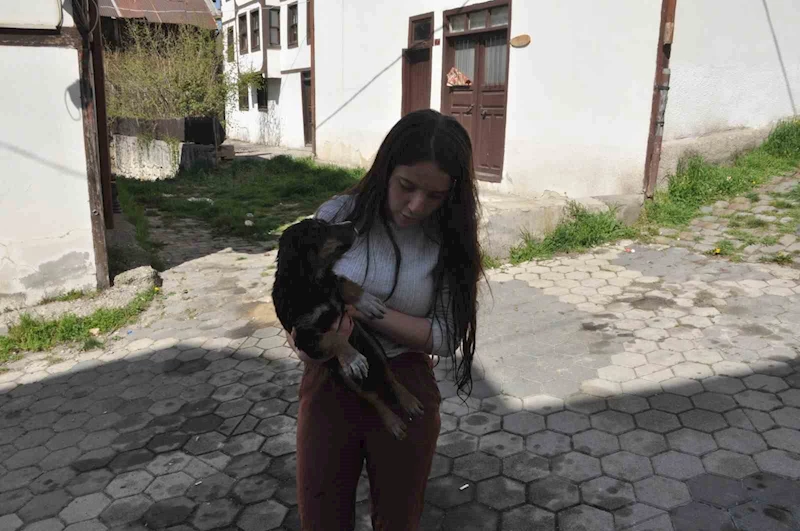 Havuzda boğulmak üzere olan yavru köpeği vatandaşlar kurtardı
