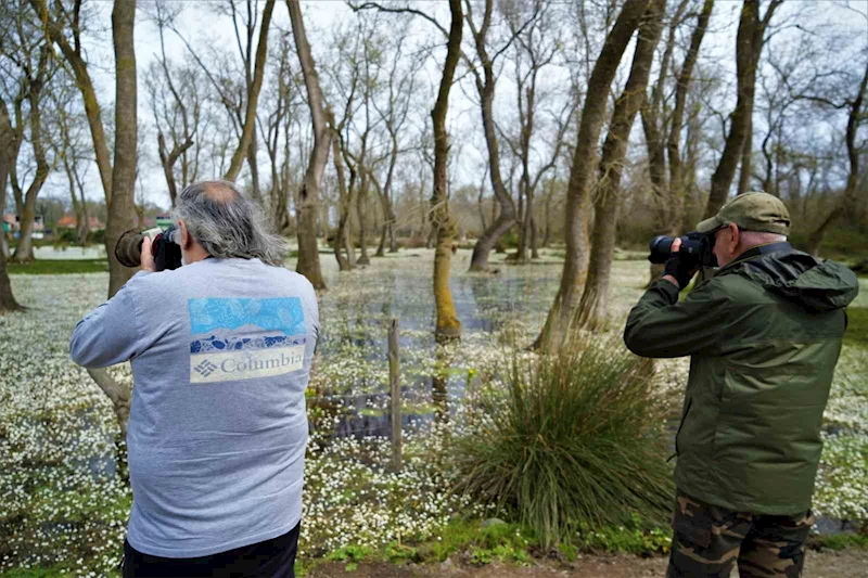 Cennetten bir köşe: Kızılırmak Deltası
