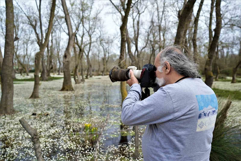 Cennetten bir köşe: Kızılırmak Deltası
