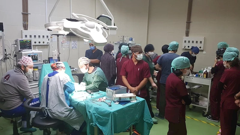 Karadeniz’in kamuya ait tek hayvan hastanesinde 6 bin 580 hayvan tedavi edildi
