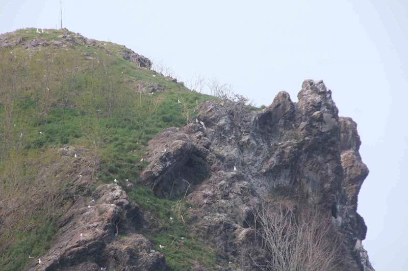 Bayram tatilinde ‘Hoynat Adası’na ilgi arttı
