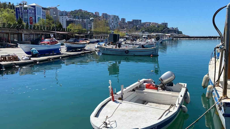 Balıkçılar gelecek sezondan umutlu
