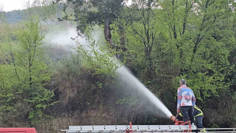 Kastamonu’da korkutan orman yangını: Büyümeden söndürüldü
