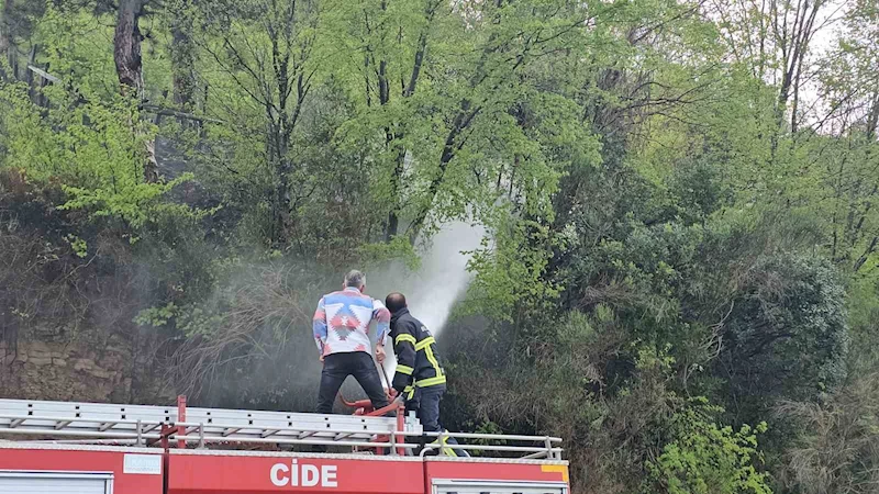 Kastamonu’da korkutan orman yangını: Büyümeden söndürüldü
