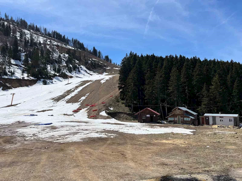 Artvin’de aç kalan ayılar kayak tesisine dadandı
