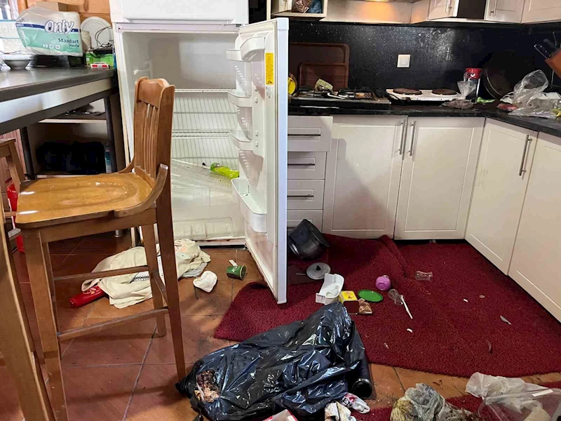 Artvin’de aç kalan ayılar kayak tesisine dadandı
