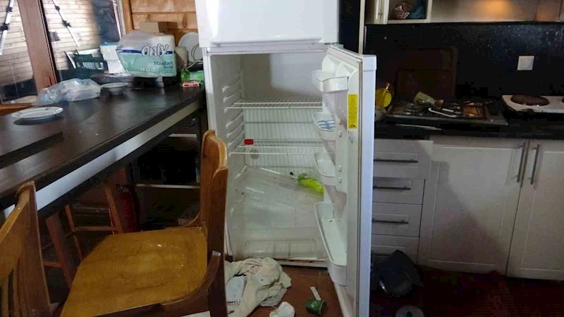 Artvin’de aç kalan ayılar kayak tesisine dadandı
