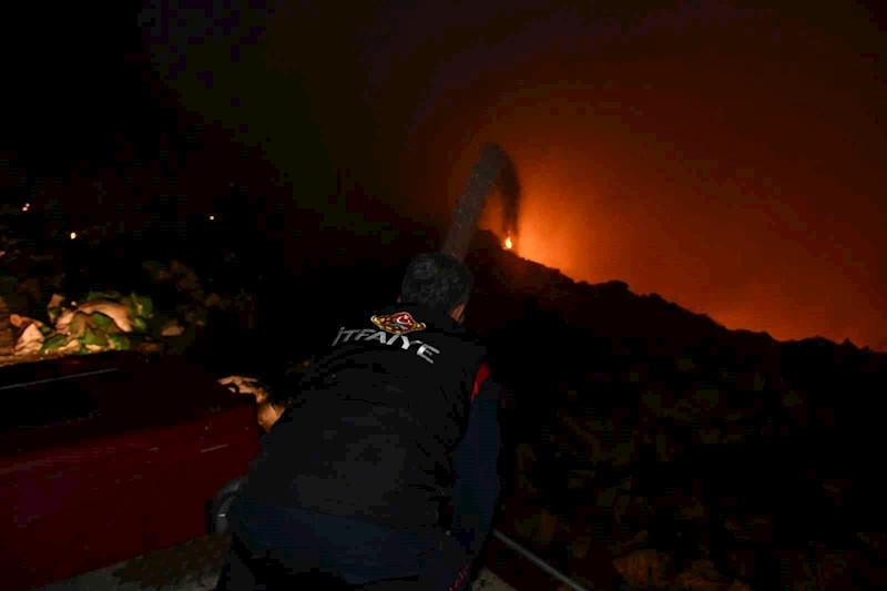 Artvin’de çöp sahasında yangın
