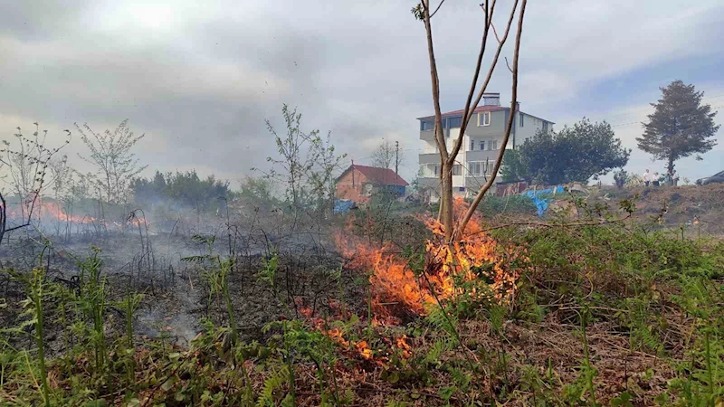 Giresun’da örtü yangını korkuttu
