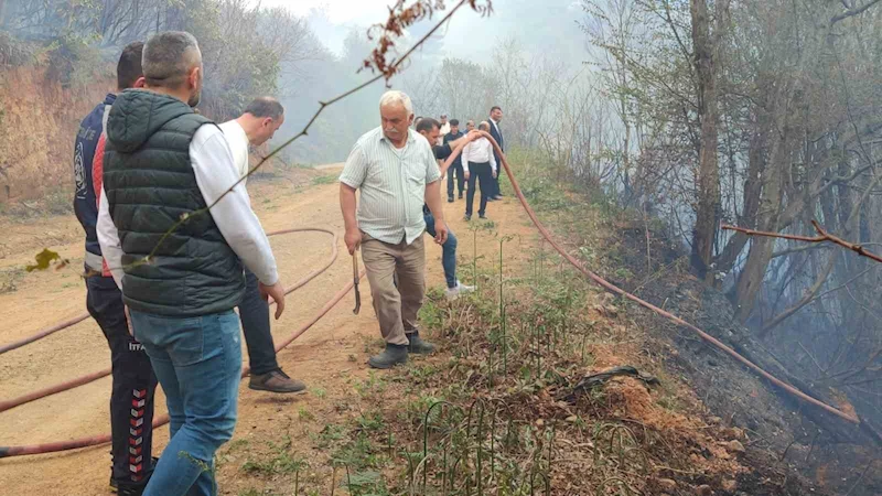 Giresun’da örtü yangını korkuttu
