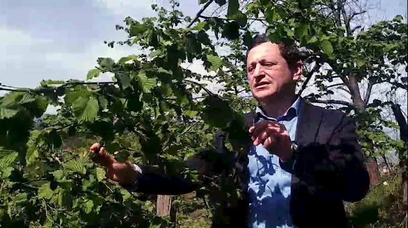 Ziraat Mühendisi Haldun Gedikali:
