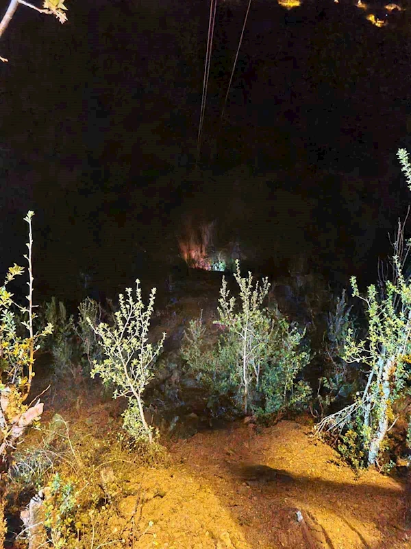 Ormanlık alanda çıkan yangın büyümeden söndürüldü
