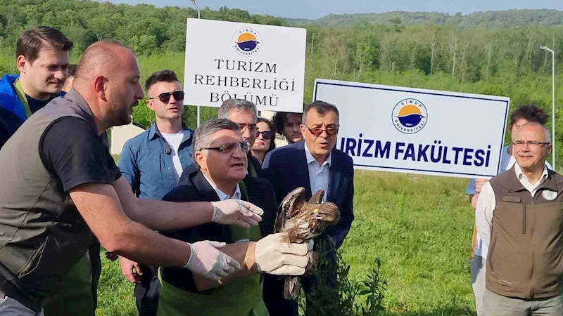 Sinop’ta yaraları tedavi edilen doğaya salındı
