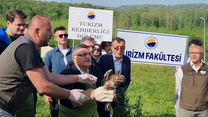 Sinop’ta ilginç olay: Valinin doğaya saldığı kartal kadına saldırdı
