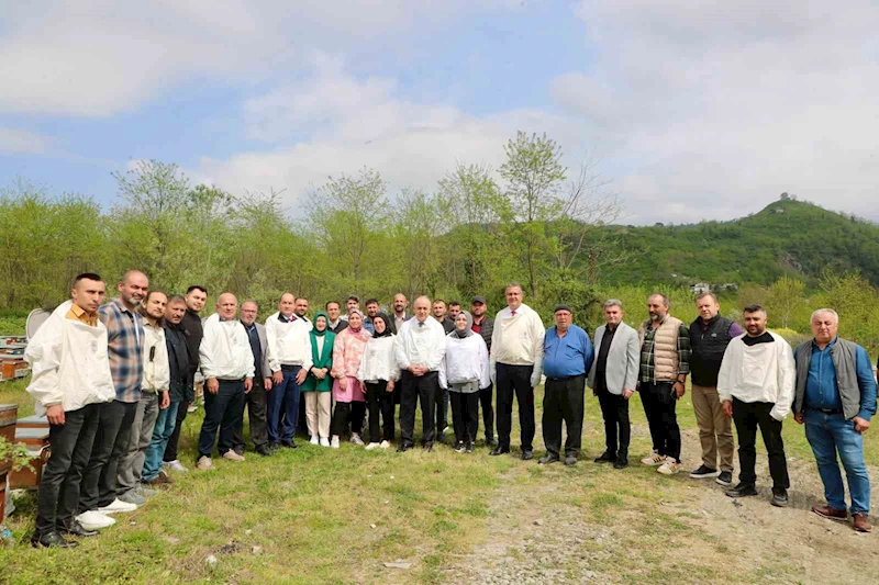 Ordu’da ana arı yetiştiriciliği yaygınlaşıyor
