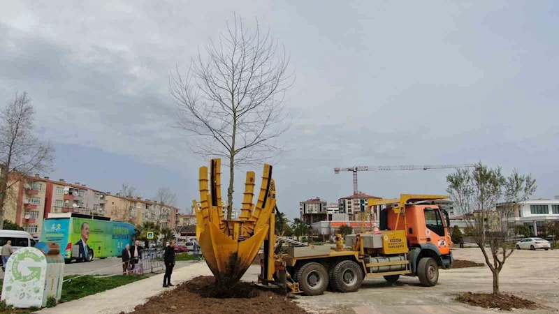 Kütüphane Parkı’nda peyzaj çalışmaları
