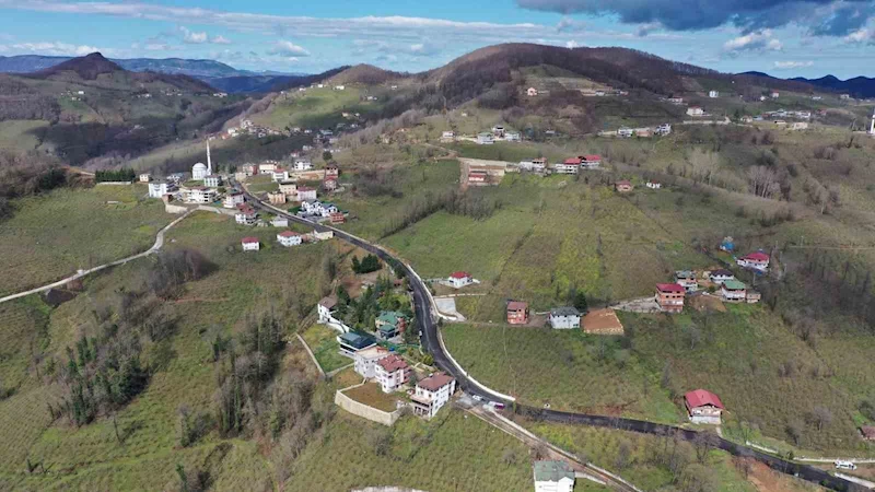 Ordu Büyükşehir, sıcak asfalt çalışmalarını sürdürüyor
