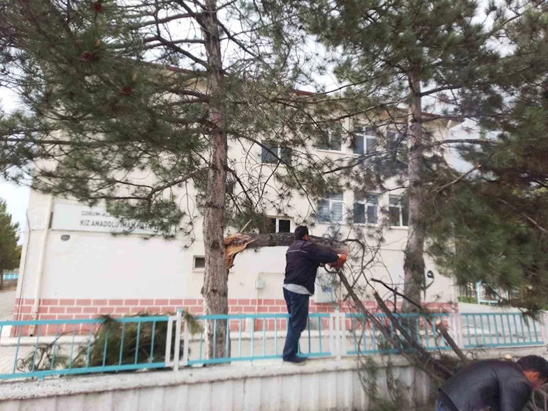 Fırtına Alaca’da çatıları uçurdu, ağaçlar devrildi
