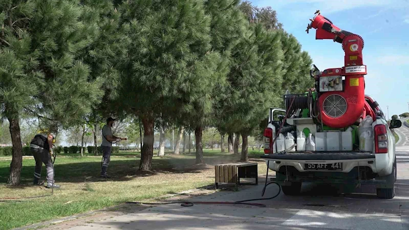 Samsun’da 25 bin noktada vektörle mücadele
