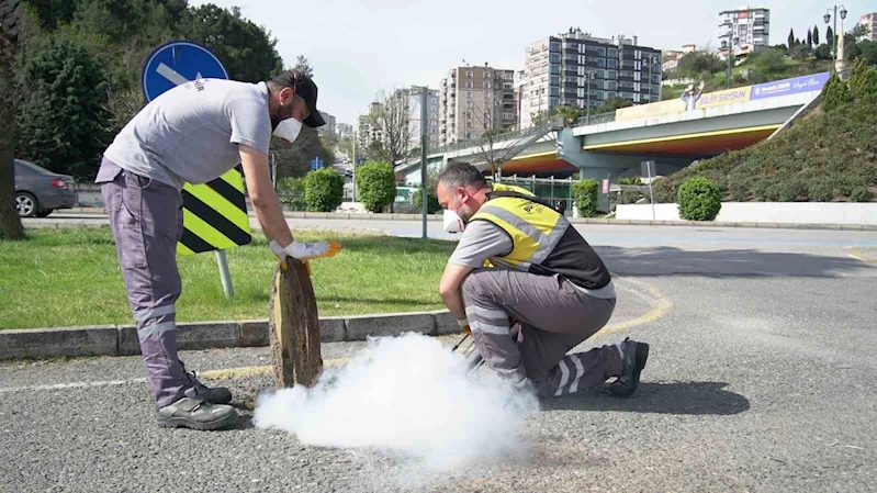 Samsun’da 25 bin noktada vektörle mücadele
