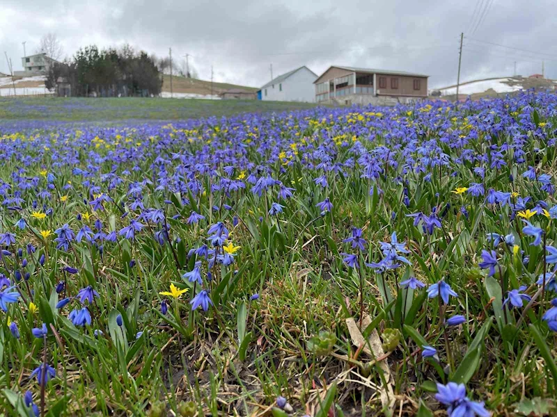 Kadıralak’ta soldular, Honefter de açtılar
