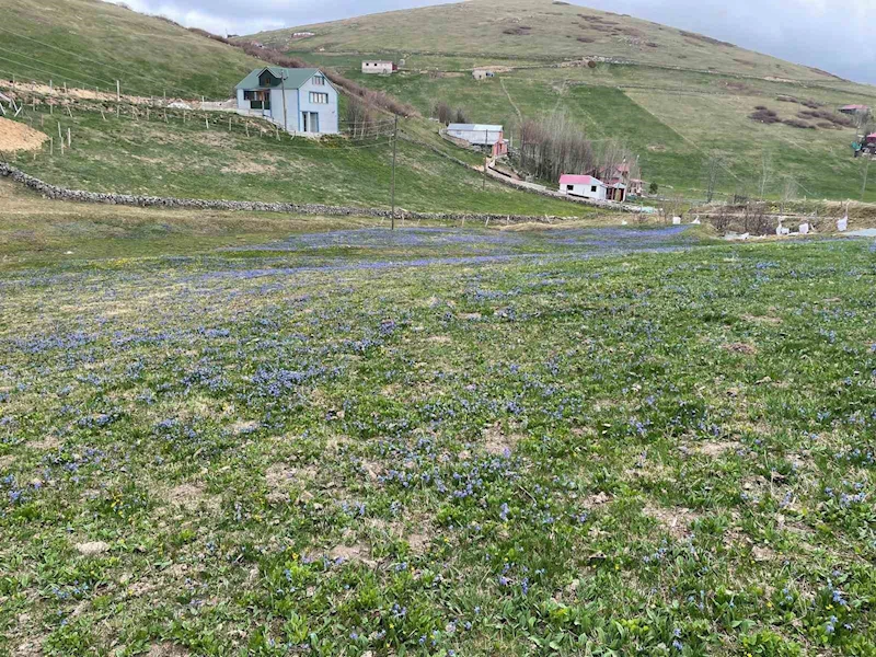 Kadıralak’ta soldular, Honefter de açtılar
