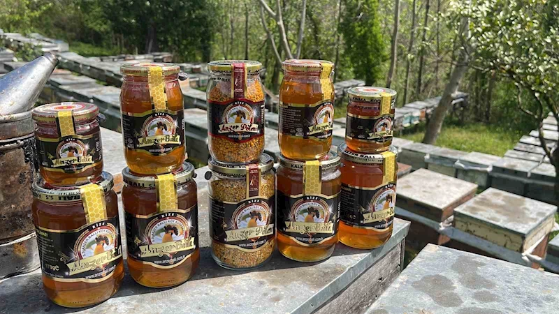 Anzer balı üretimi yapan arıcılar yeni sezondan ümitli
