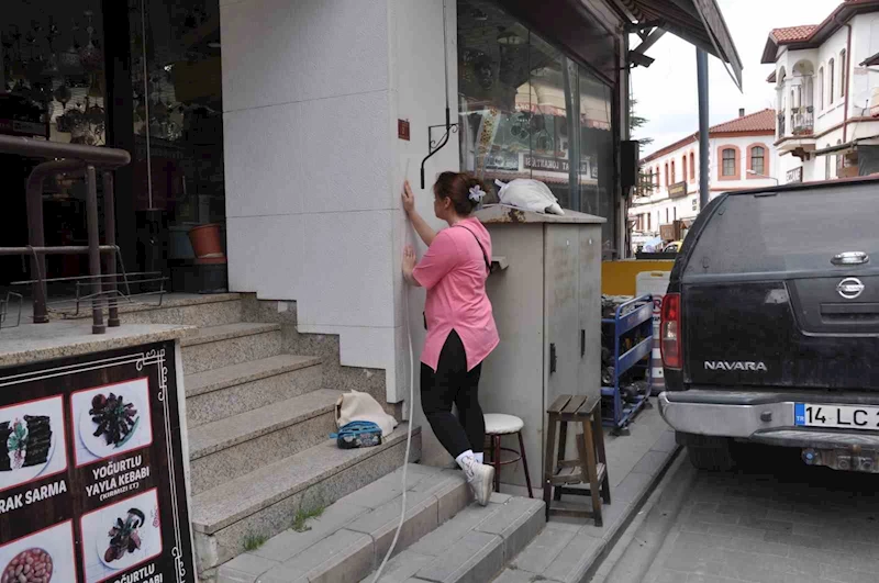 Öğrencilerin dokunuşu, ilçenin çehresini değiştirecek
