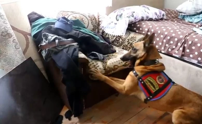 Rize’de uyuşturucu operasyonu: 5 gözaltı
