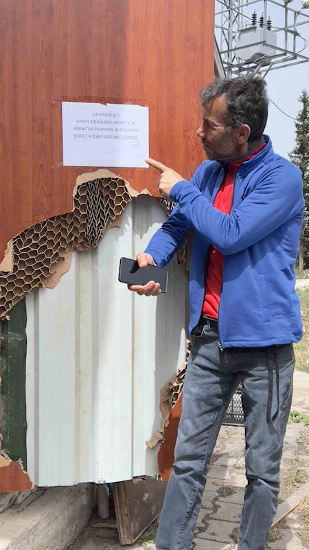 Ayı saldırılarından bıktı, çareyi ayıya not yazmakta buldu
