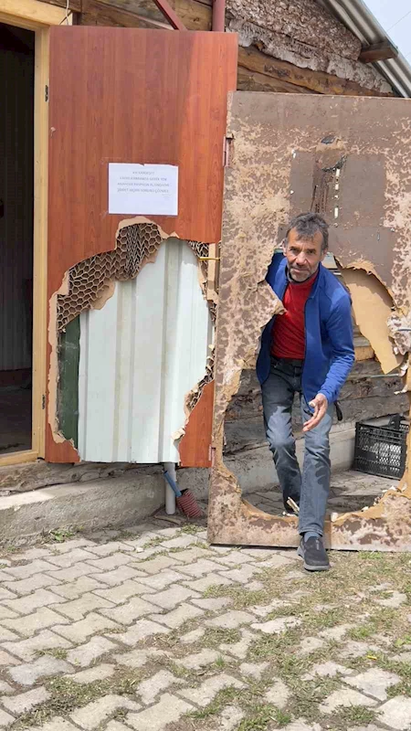 Ayı saldırılarından bıktı, çareyi ayıya not yazmakta buldu
