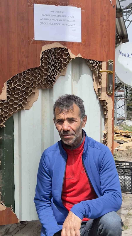 Ayı saldırılarından bıktı, çareyi ayıya not yazmakta buldu
