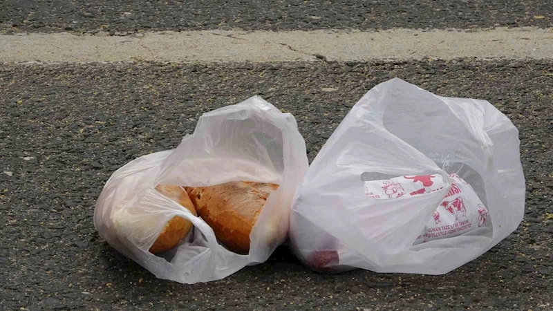 Ordu’da otomobilin çarptığı şahıs hayatını kaybetti, sürücü yaralandı
