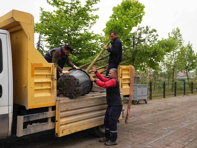 5 yılda 7 bin 140 ağaç toprakla buluştu
